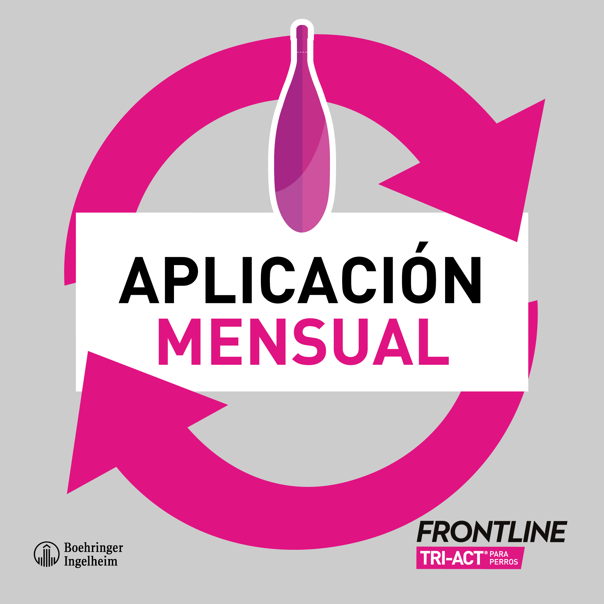 PROTECCIÓN FÁCIL Y SABROSA CONTRA PULGAS Y GARRAPATAS