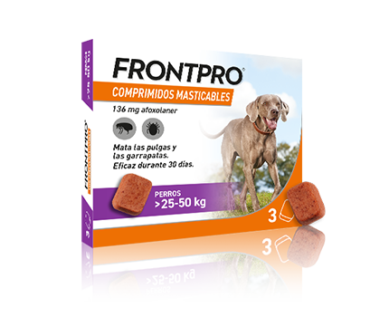 FRONTPRO