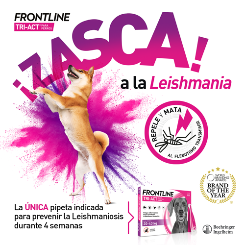 Zasca Leishmania Frontline tri-Act