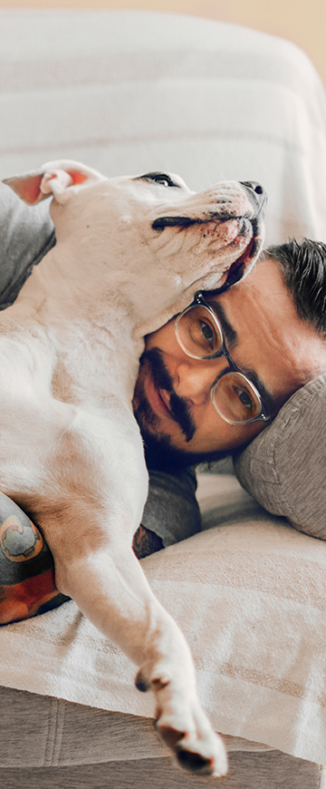 Leismaniosis desktop