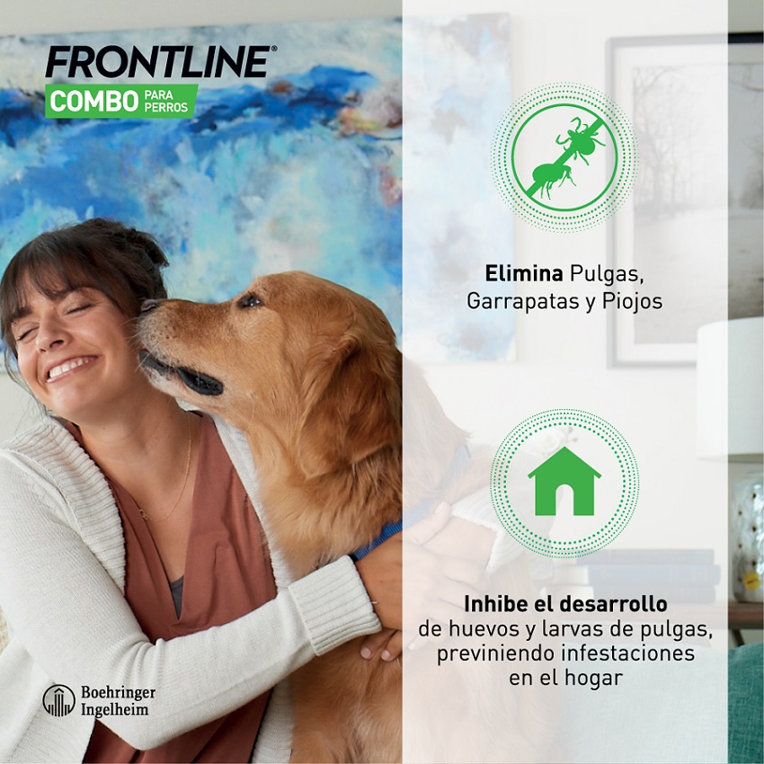infografia Frontline combo perros