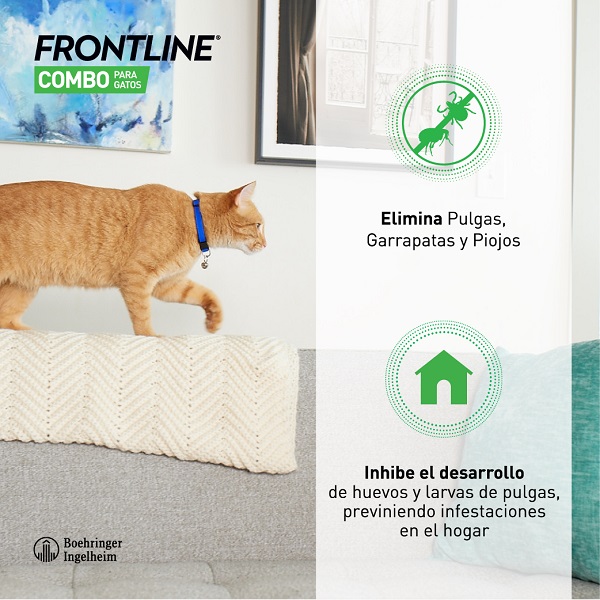 Infografia Frontline combo gato