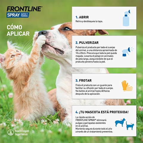 como aplicar Frontline spray en tu casa