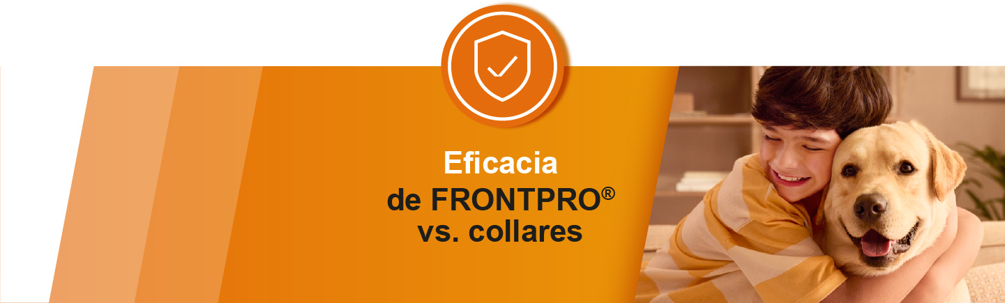 Eficacia de Frontpro