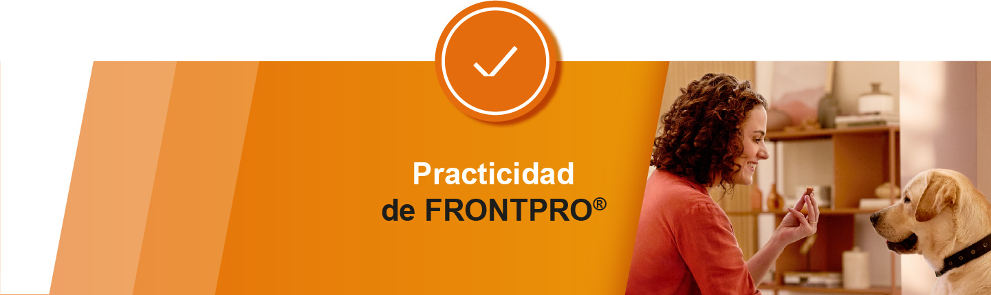 Practicidad Frontpro