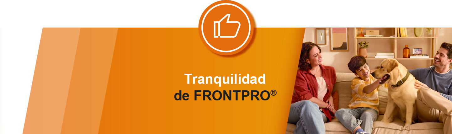 tranquilidad de Frontpro