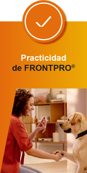 Practicidad Frontpro
