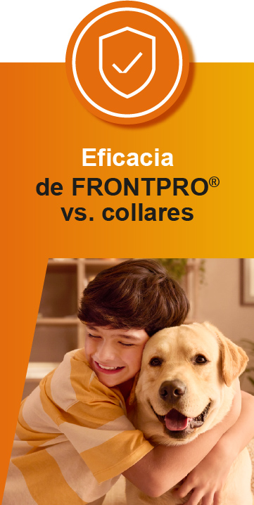 Eficacia de Frontpro