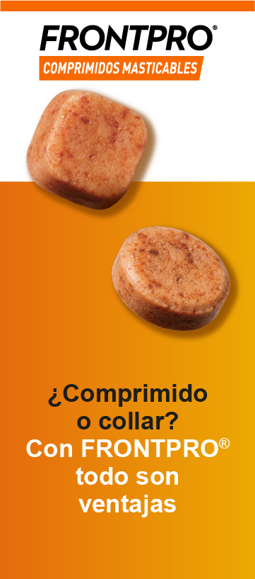 Frontpro comprimido o collar