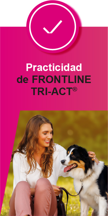 Practicidad Frontline tri-act