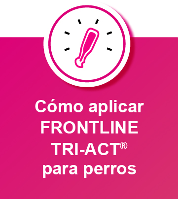 cómo aplicar Frontline Tri-Act