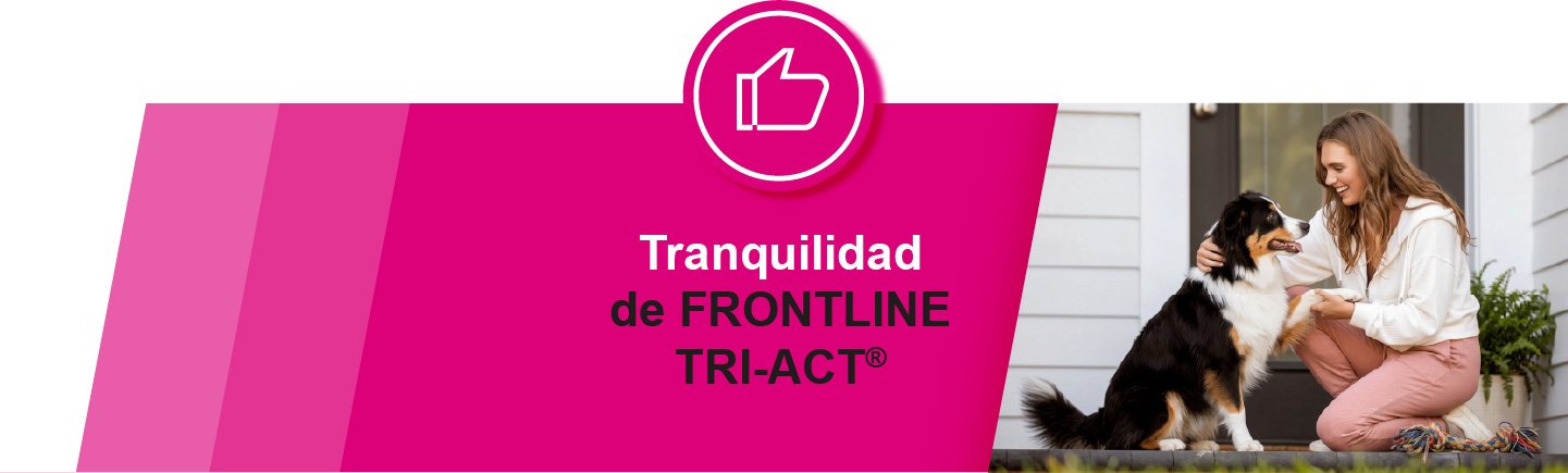 Tranquilidad Frontline tri-act
