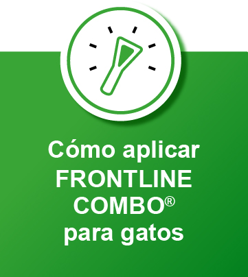 combo gatos banner como aplicar
