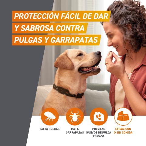 frontpro caractarísticas