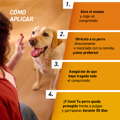 cómo aplicar Frontpro