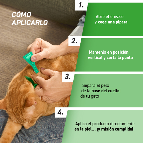 FRONTLINE combo gatos COMO APLICAR